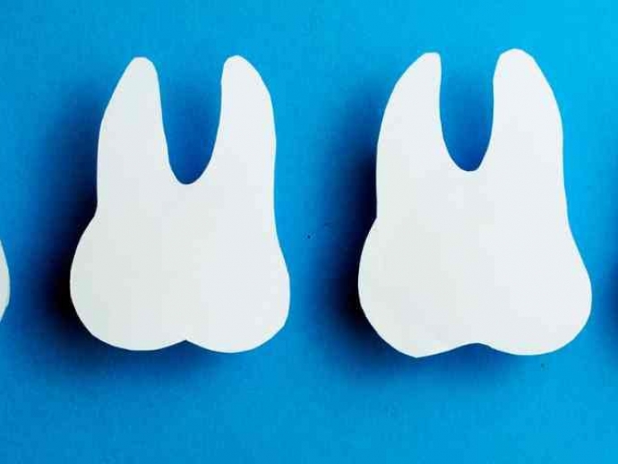 Best Dental Coupons Blogging: Finding the Best Deals for Your Oral Health